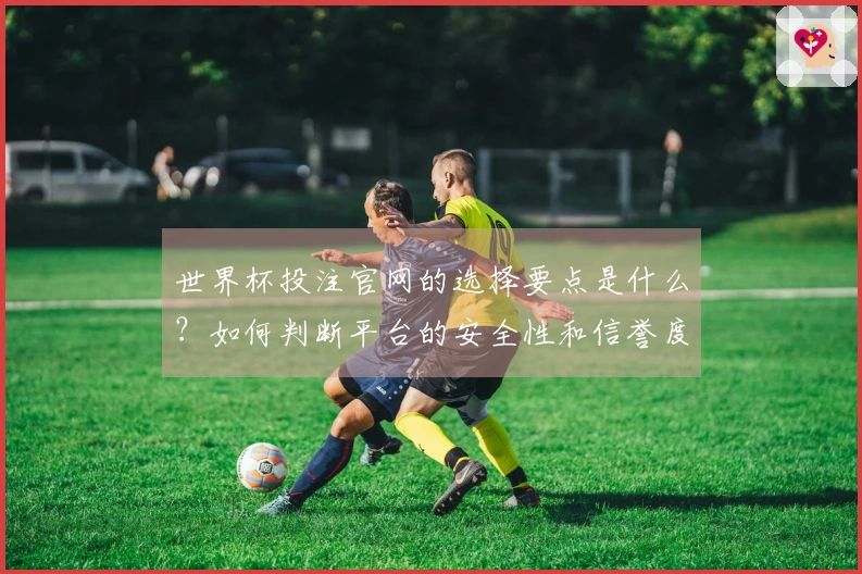 世界杯投注官网的选择要点是什么？如何判断平台的安全性和信誉度