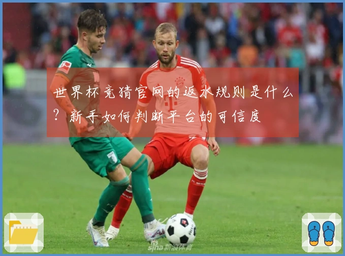 世界杯竞猜官网的返水规则是什么？新手如何判断平台的可信度