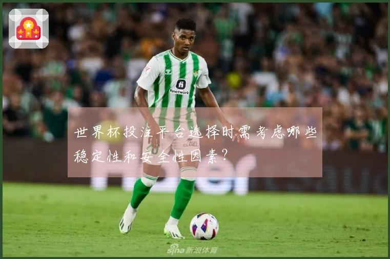 世界杯投注平台选择时需考虑哪些稳定性和安全性因素？