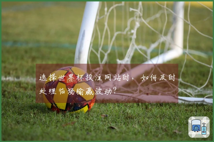 选择世界杯投注网站时，如何及时处理临场输赢波动？
