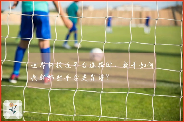 世界杯投注平台选择时，新手如何判断哪些平台更靠谱？