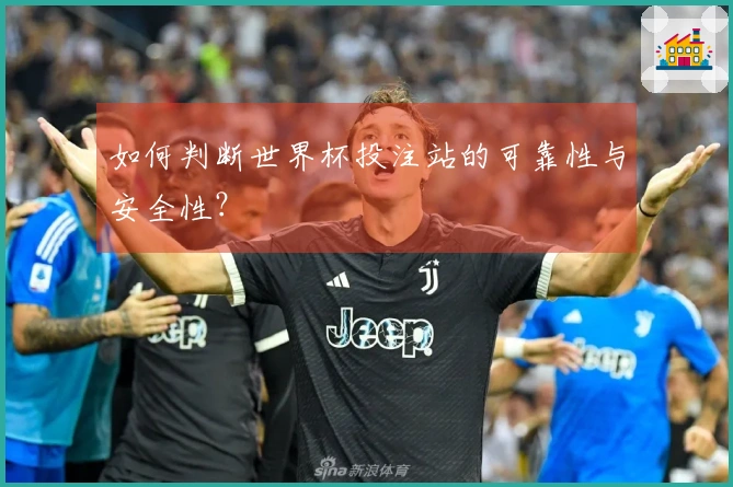 如何判断世界杯投注站的可靠性与安全性？