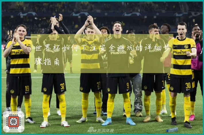 世界杯如何下注安全避坑的详细步骤指南