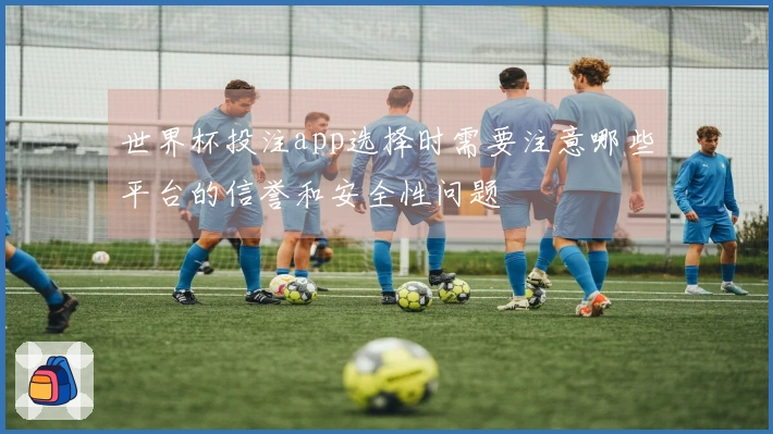 世界杯投注app选择时需要注意哪些平台的信誉和安全性问题