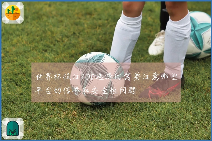 世界杯投注app选择时需要注意哪些平台的信誉和安全性问题