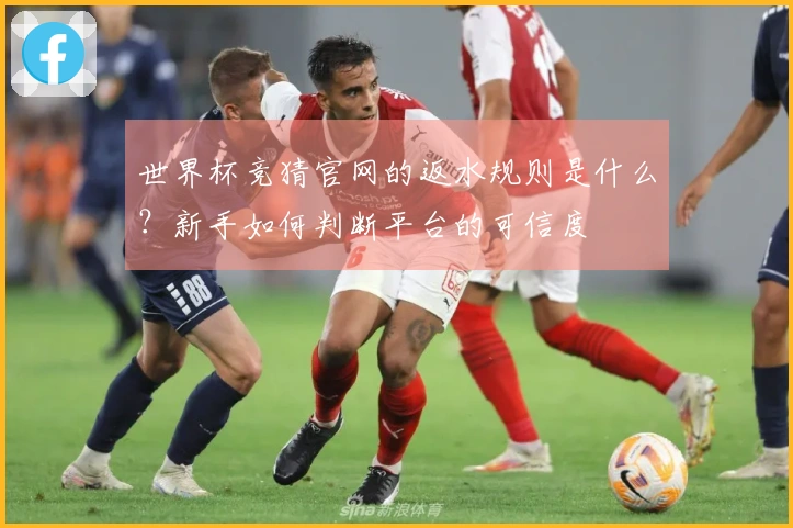 世界杯竞猜官网的返水规则是什么？新手如何判断平台的可信度