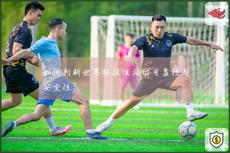 如何判断世界杯投注站的可靠性与安全性？